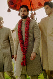 'KAMYAR' SHERWANI